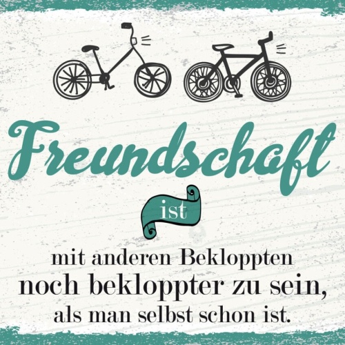 Schild Freundschaft Mit Anderen Bekloppten Bekloppt 12x18 20x30 30x40 Blech/Holz