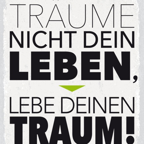 Schild Träume Nicht Dein Leben Lebe Deinen Traum 12x18 20x30 30x40 Blech/Holz