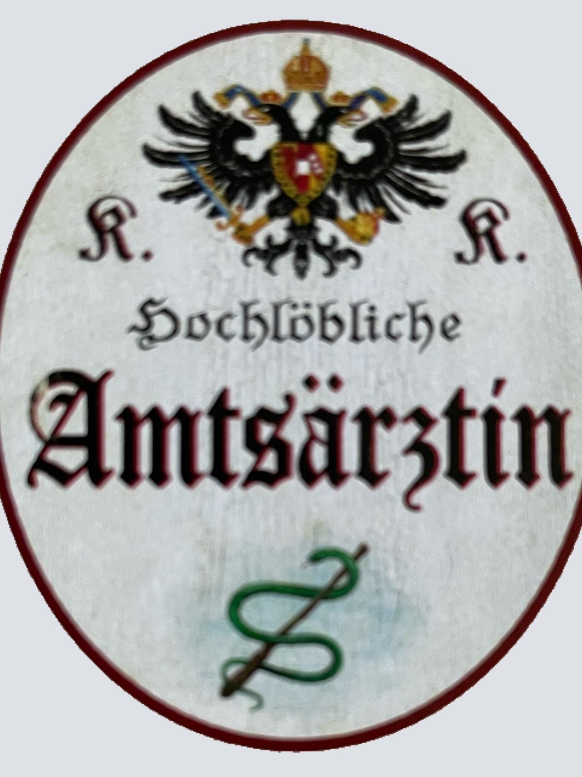 KuK Nostalgie Holzschild Hochlöbliche Amtsärztin Ärztin Frau Doktor Schild