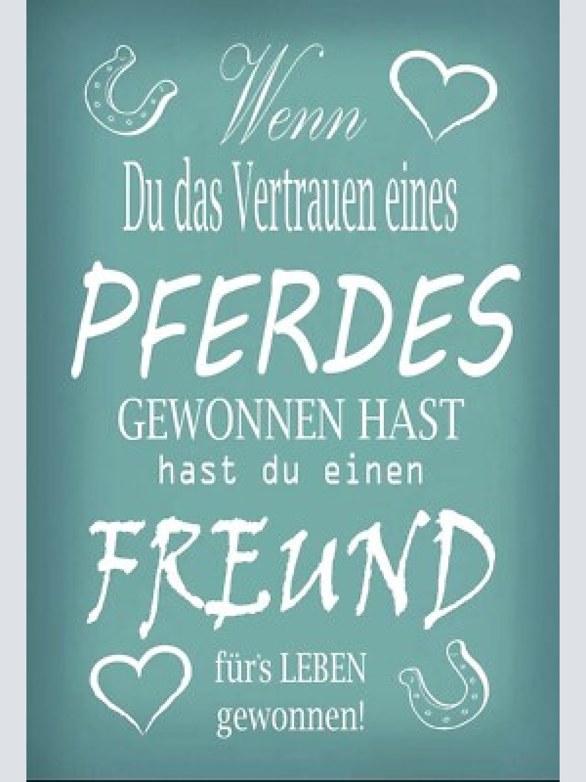 Schild pferde pferd vertrauen    12x18 / 20x30 / 30x40 blech od. holz