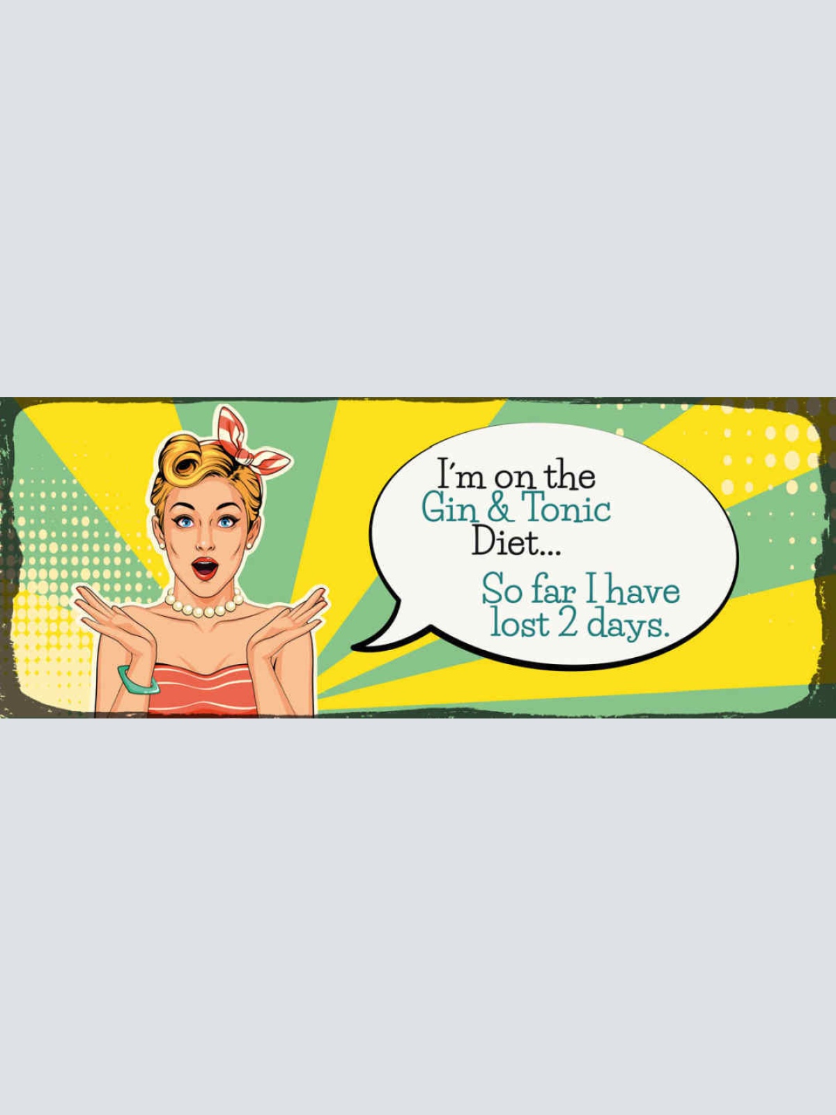 Schild I'm On A Gin & Tonic Diet So Far I Have Lost 2 Days 27x10 Blech od.Holz