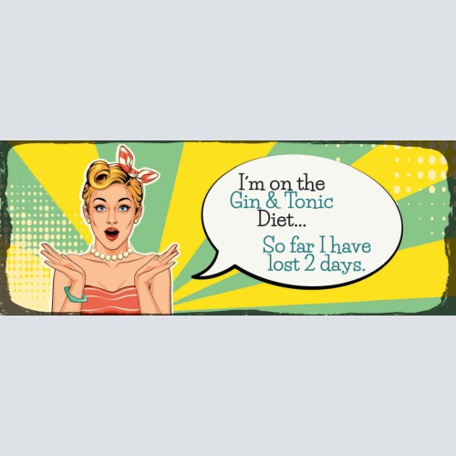Schild I'm On A Gin & Tonic Diet So Far I Have Lost 2 Days 27x10 Blech od.Holz