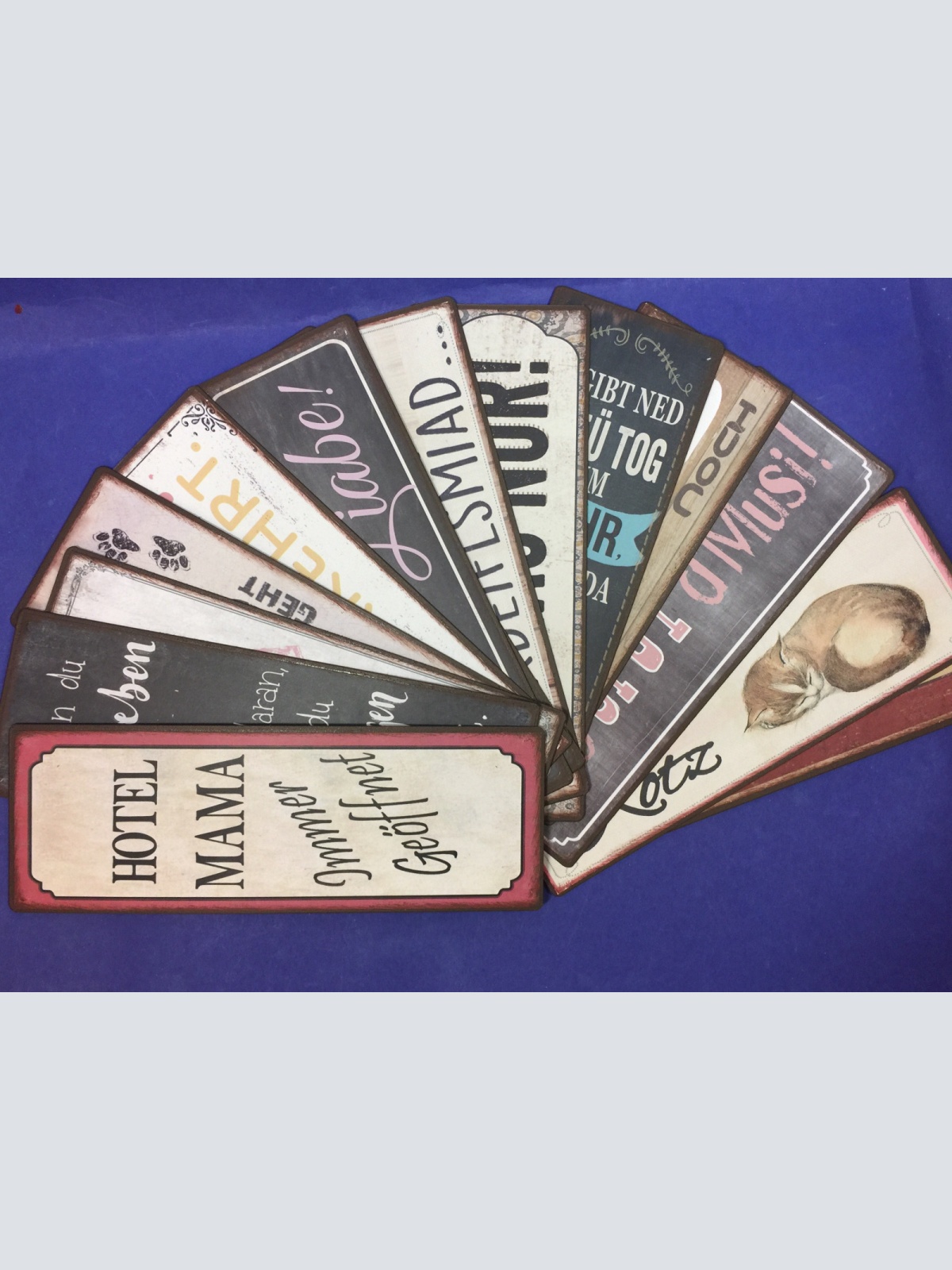 Nostalgie Div. Schilder Mundart Sprüche Dialekt siehe Fotos 20x7 bzw. 7x20