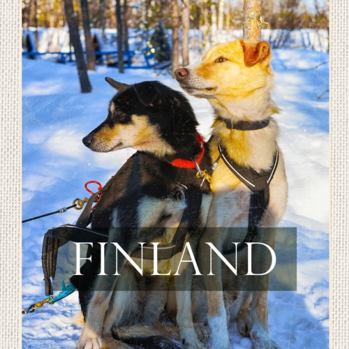 Schild Finland Finnland Husky Hunde Schnee Winter 12x18 20x30 30x40 Blech/Holz