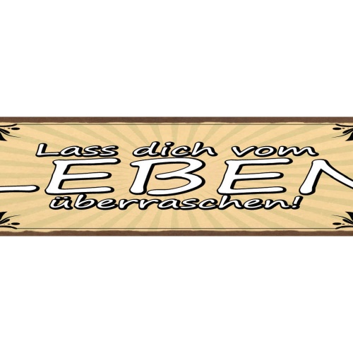 Schild Lass Dich vom Leben Überraschen Überraschung 46 x 10 Blech od. Holz