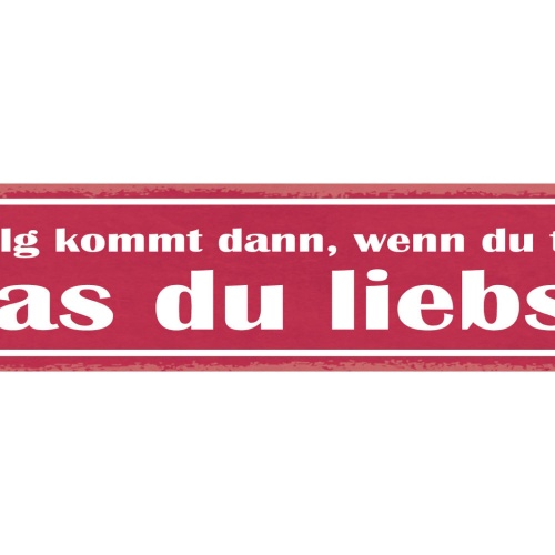 Schild Erfolg Kommt Dann Wenn Du Tust Was Du Liebst 46 x 10 Blech od. Holz