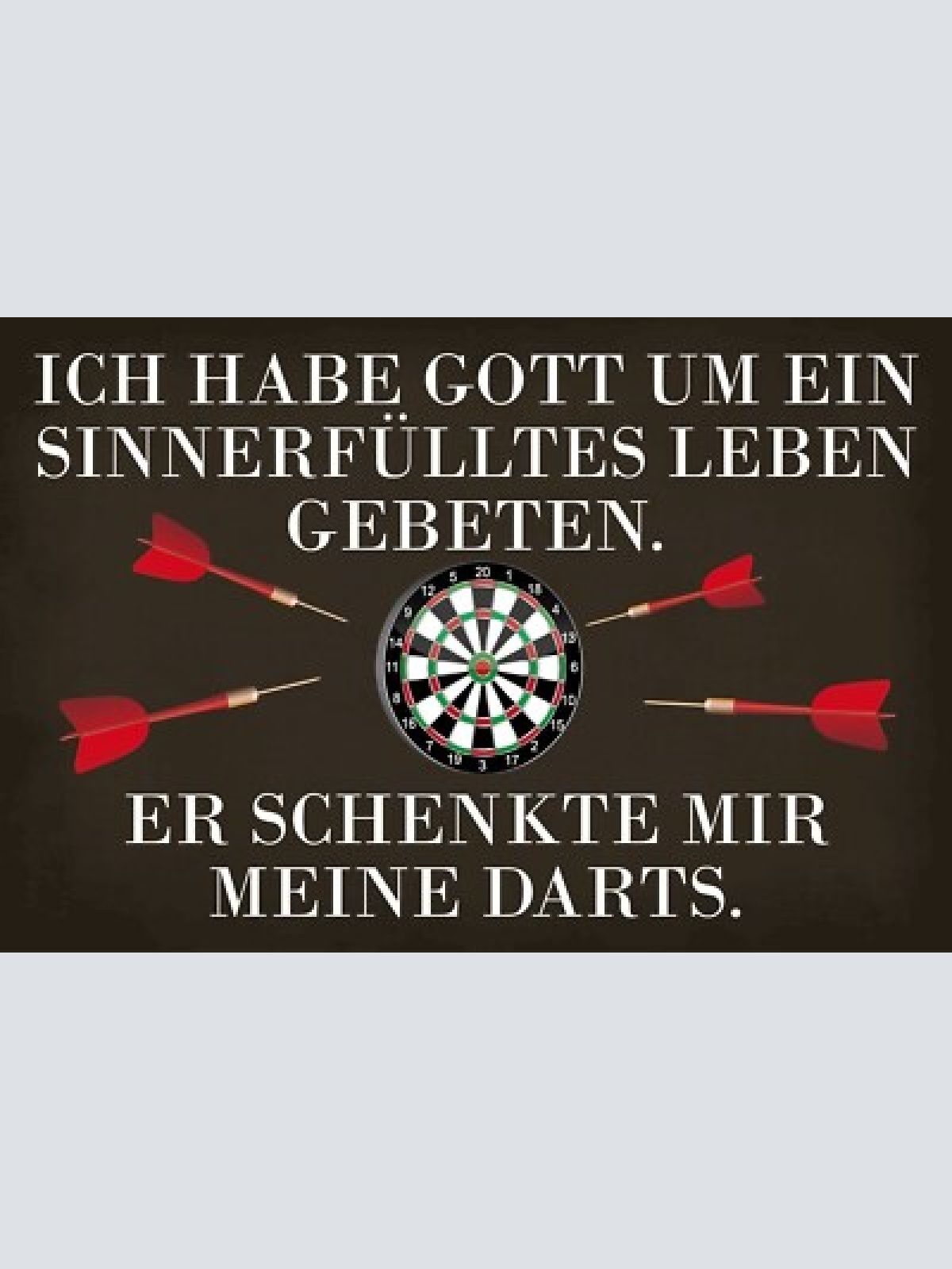 Nostalgie schild gott schenkte mir darts 12x18 / 20x30 / 30x40 blech od. holz
