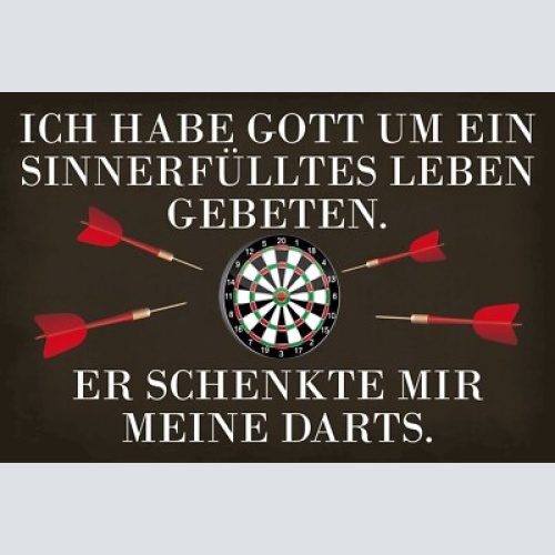 Nostalgie schild gott schenkte mir darts 12x18 / 20x30 / 30x40 blech od. holz