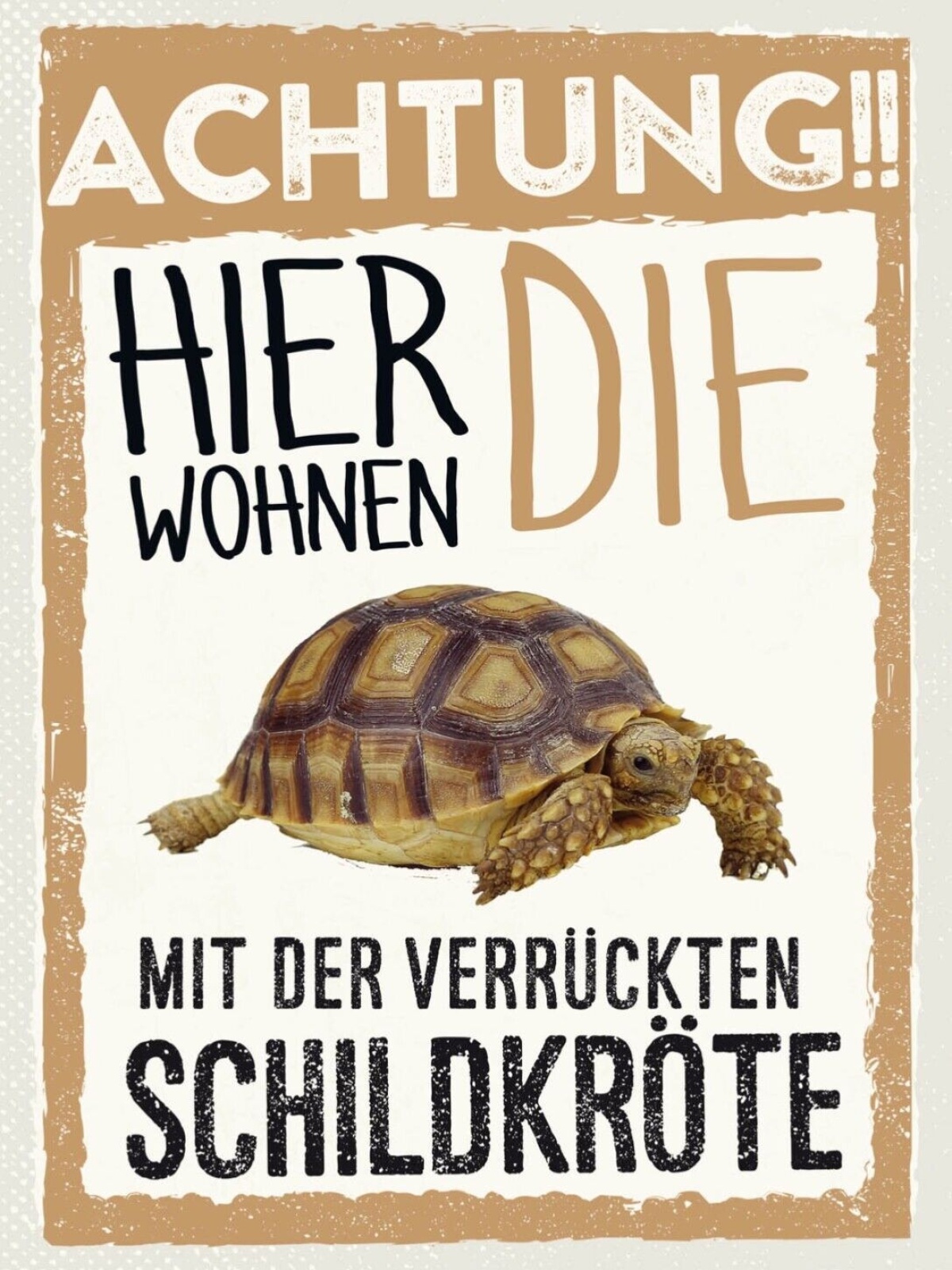Schild Achtung Hier Wohnen Die Mit Schildkröte 12x18 20x30 30x40 Blech/Holz