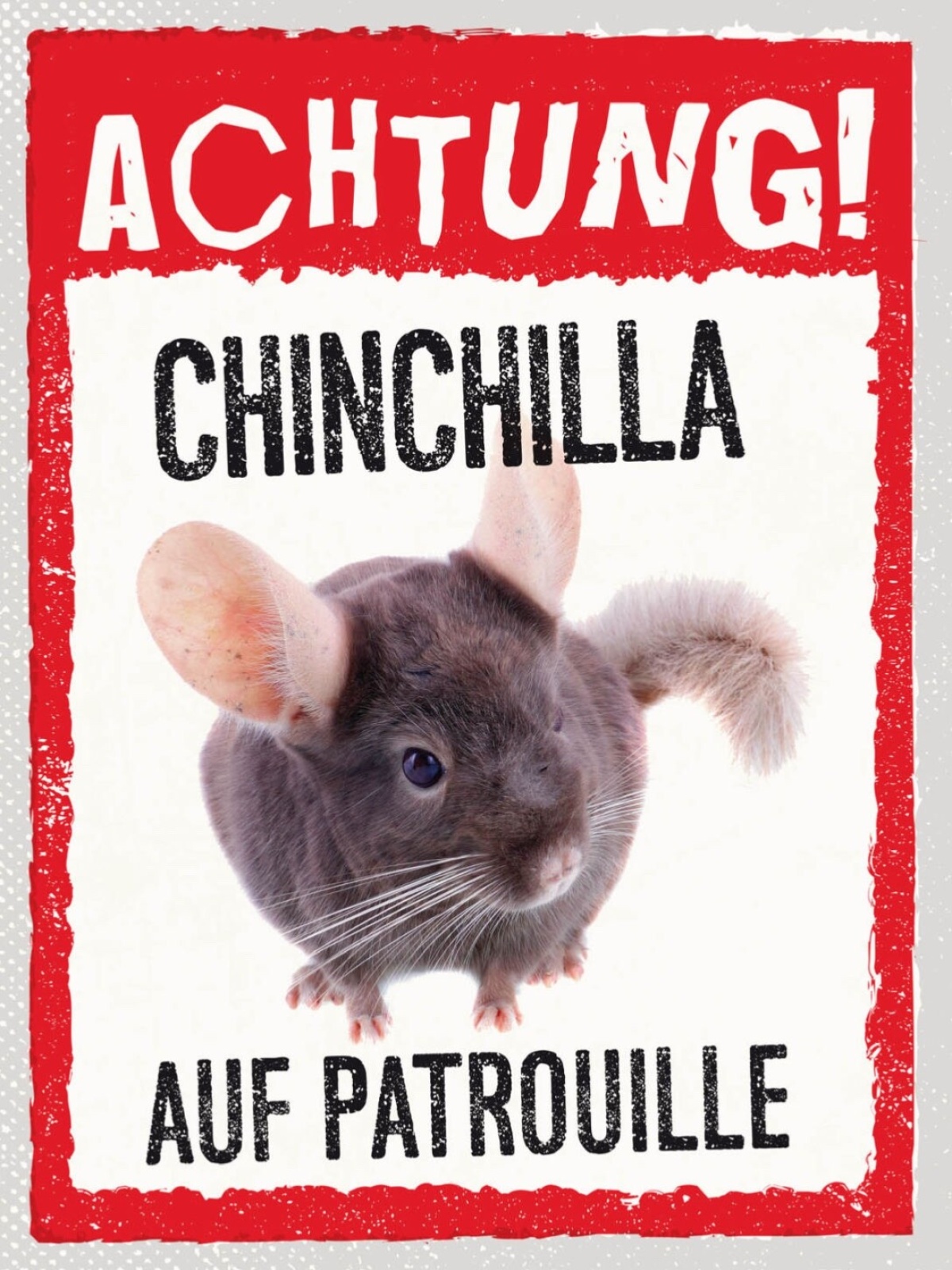 Schild Achtung Chinchilla Auf Patrouille Haus Tier 12x18 20x30 30x40 Blech/Holz