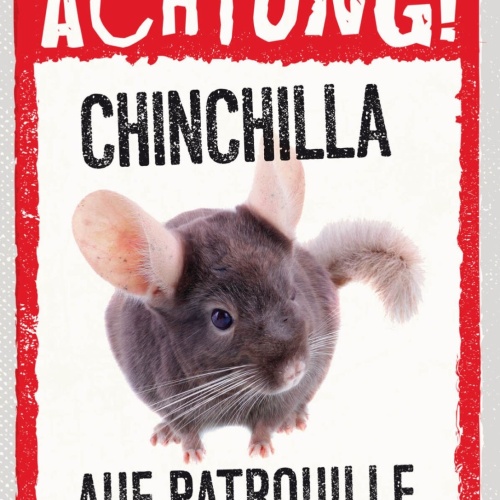Schild Achtung Chinchilla Auf Patrouille Haus Tier 12x18 20x30 30x40 Blech/Holz