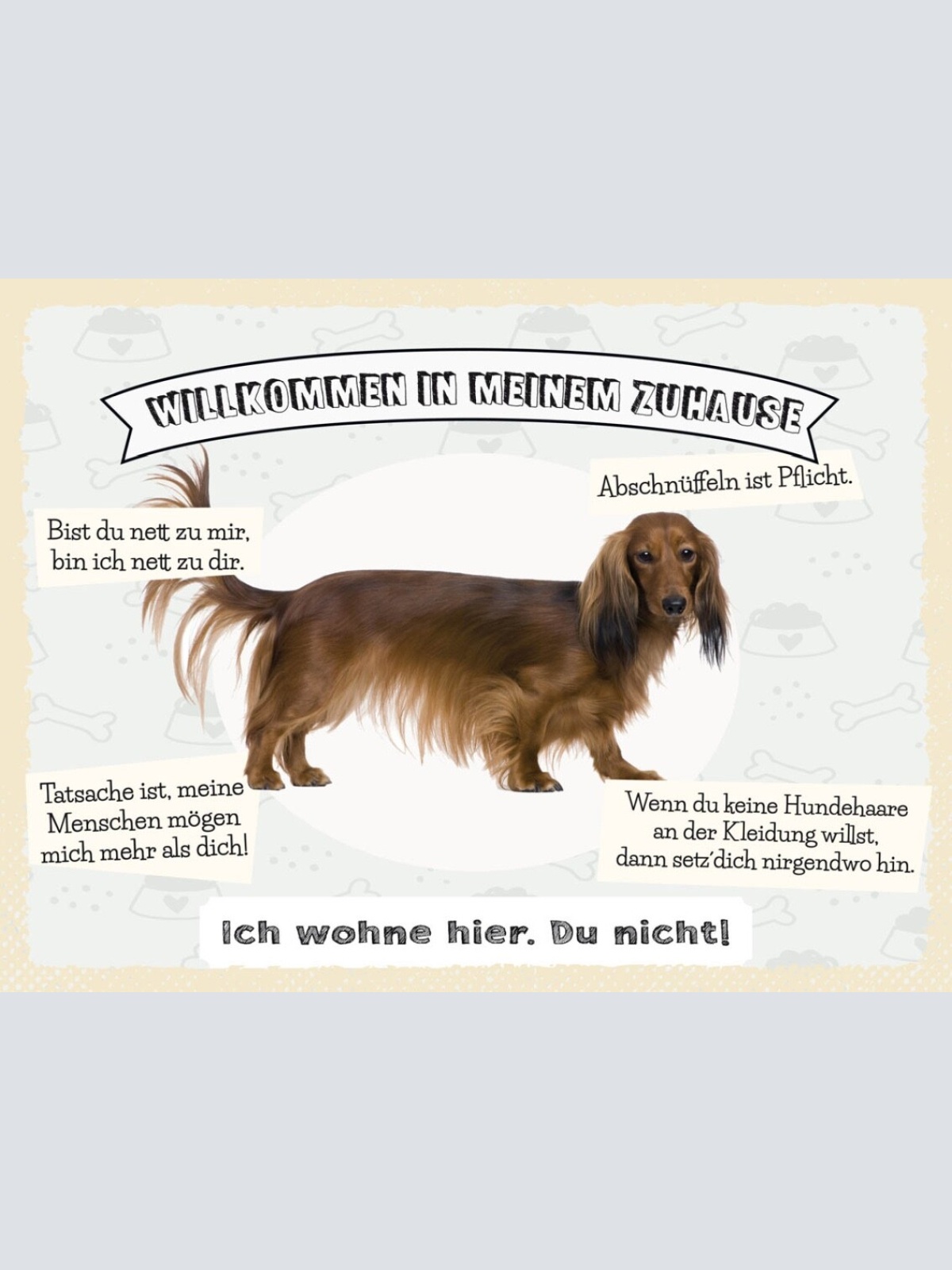 Schild Willkommen In Meinem Zuhause Dackel Hund 12x18 20x30 30x40 Blech/Holz