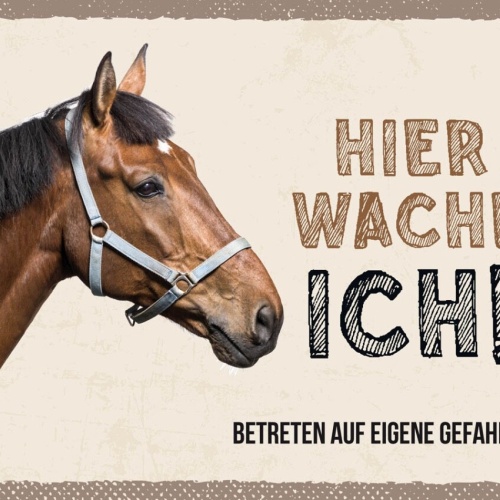 Schild Hier Wache Ich Pferd Eigene Gefahr Tier 12x18 20x30 30x40 Blech/Holz