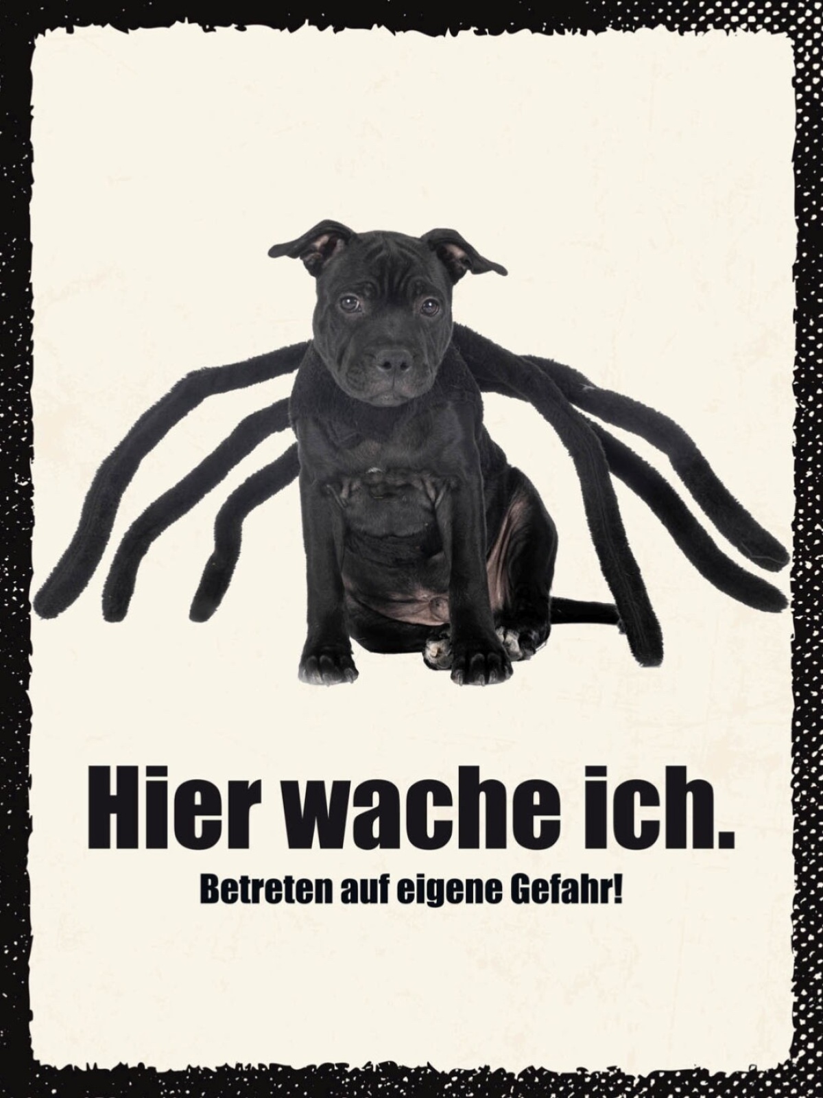 Schild Hier Wache Ich Staffordshire Bull Terrier 12x18 20x30 30x40 Blech/Holz