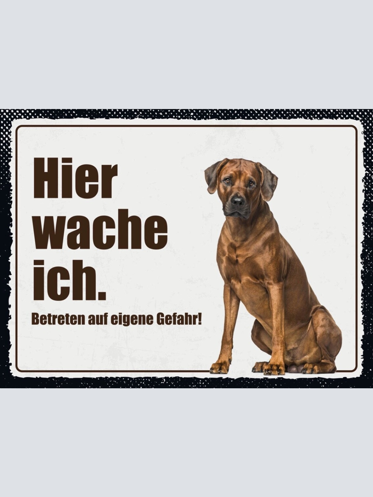 Schild Hier Wache Ich Rhodesian Ridgeback Hund 12x18 20x30 30x40 Blech/Holz