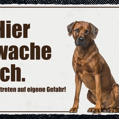 Schild Hier Wache Ich Rhodesian Ridgeback Hund 12x18 20x30 30x40 Blech/Holz