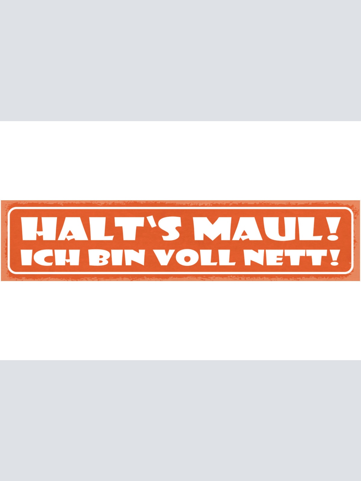 Schild Halt's Maul Ich Bin Voll Nett Freundlich Beschimpfen 46x10 Blech od. Holz