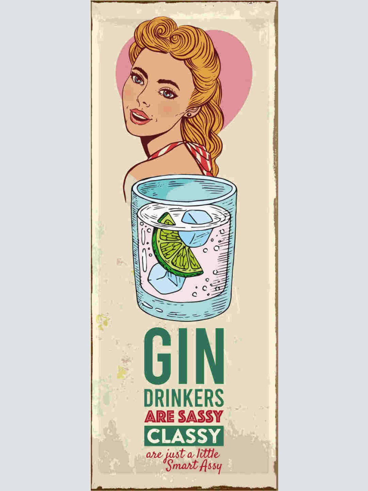 Schild Gin Drinking Are Sassy Classy Smart Assy Alkohol 27x10 Blech od.Holz