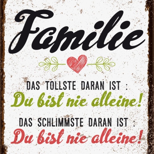 Schild Familie Tollste Daran Du Bist Nie Alleine 12x18 20x30 30x40 Blech/Holz LP
