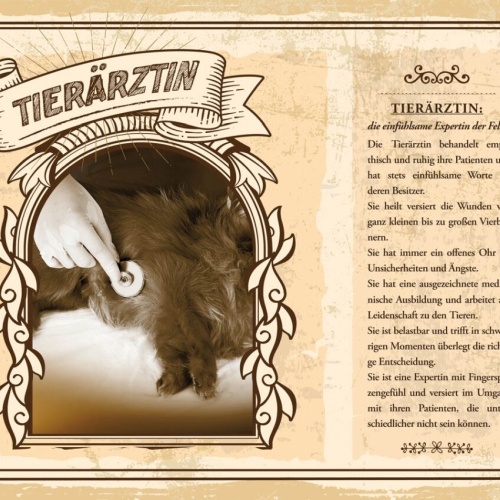 Schild Tierärztin Beruf Tiere Veterinärin Medizin 12x18 20x30 30x40 Blech/Holz