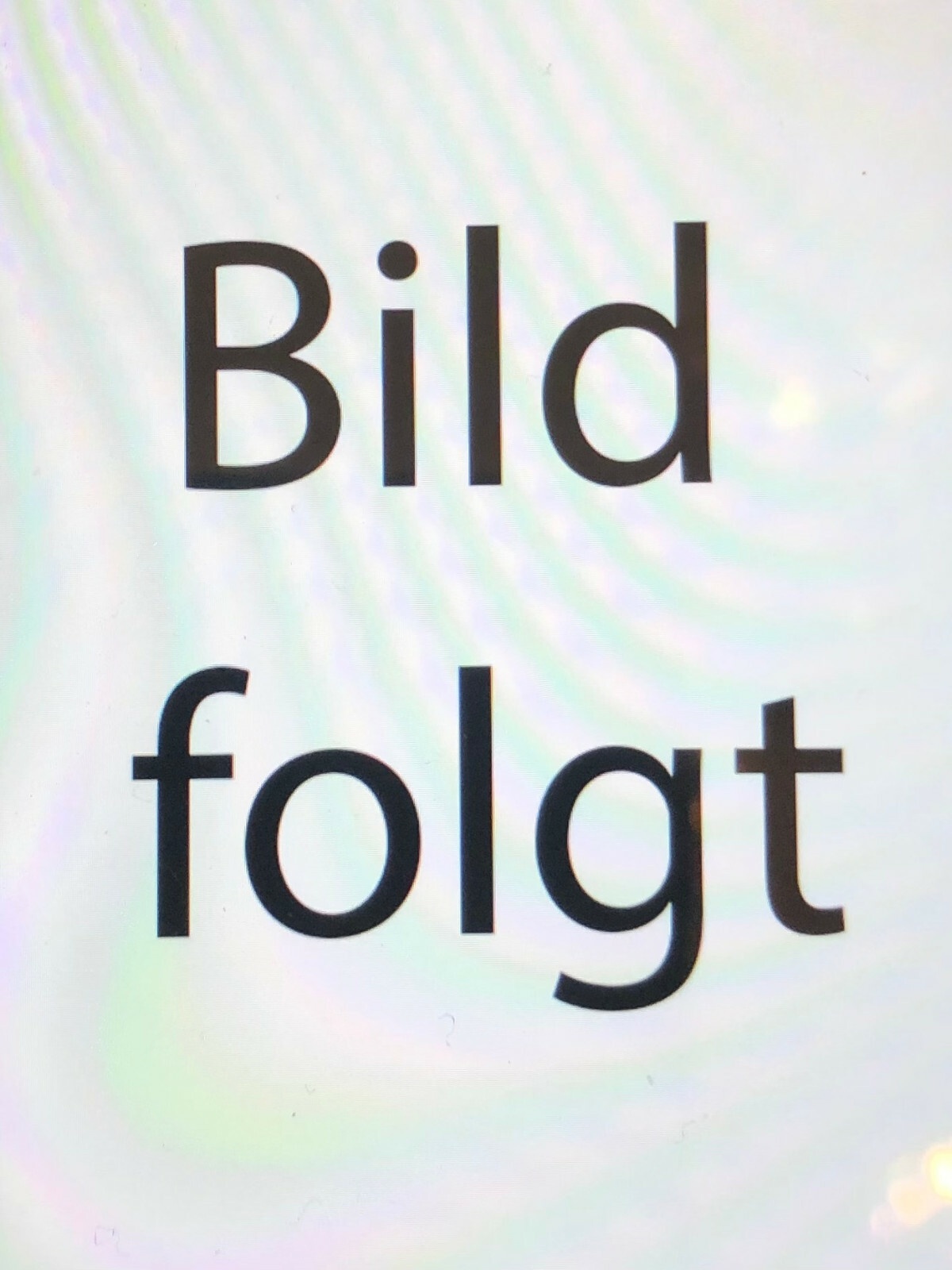 Nostalgie Holzschild Bayern    Landesbefugter Oberjäger