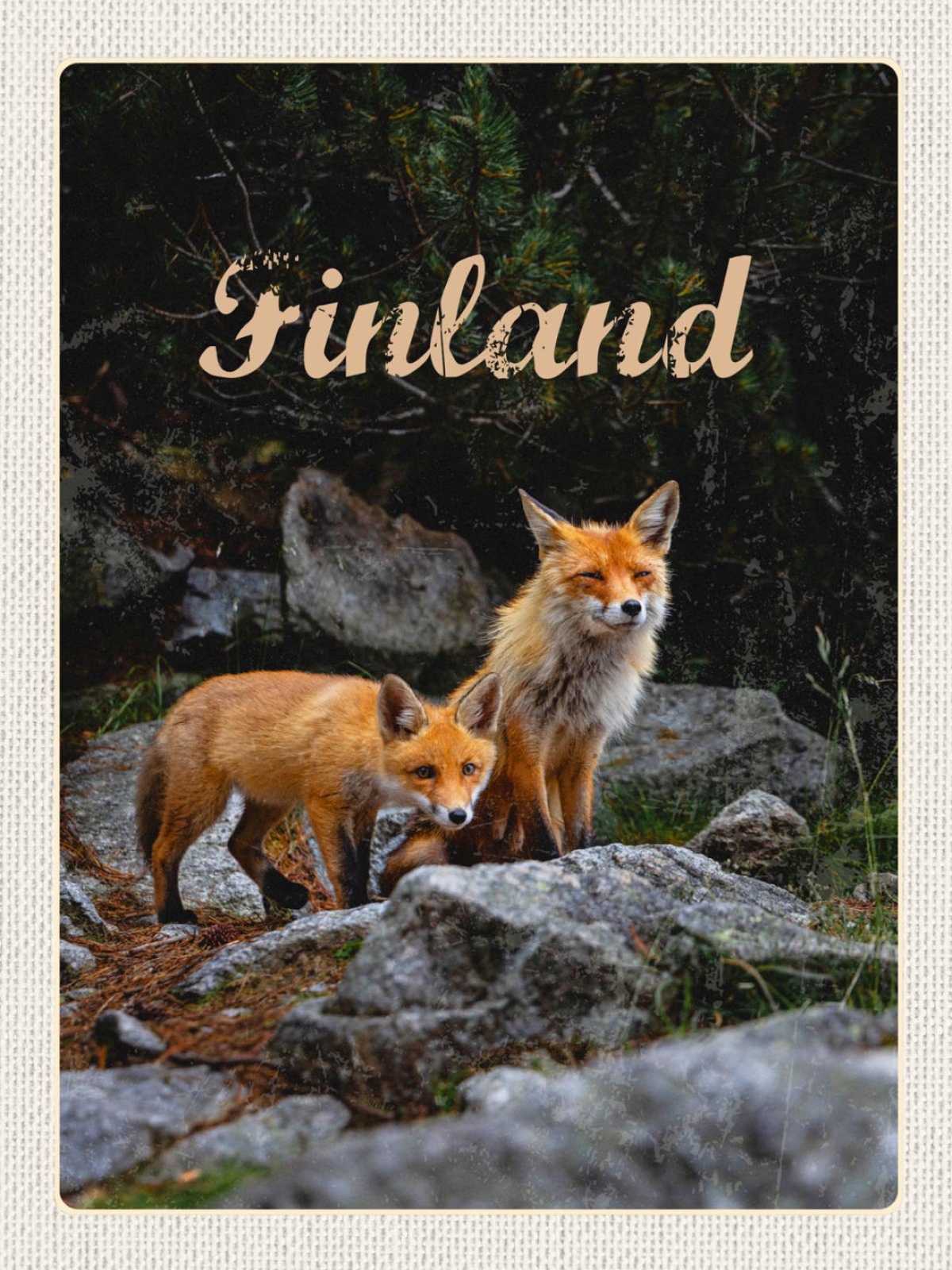 Schild Finland Finnland Rot Fuchs Füchse Wildtier 12x18 20x30 30x40 Blech/Holz