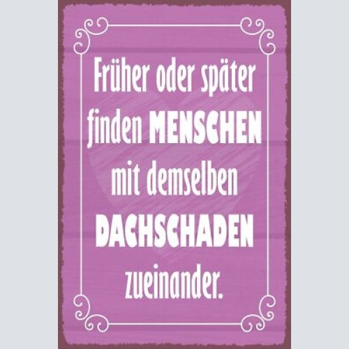 Nostalgie schild menschen dachschaden liebe 12x18 / 20x30 / 30x40 blech od. holz