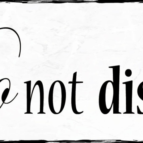 Schild Do Not Disturb Bitte Nicht Stören Störung 27x10 Blech od.Holz