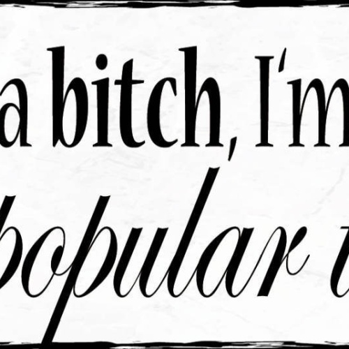 Schild I'm Not A Bitch I'm A Teller Of Unpopular Truths 27x10 Blech od.Holz