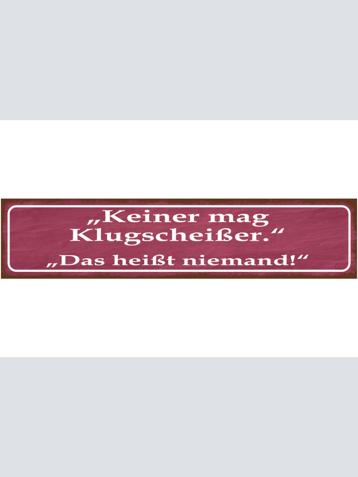 Schild Keiner Mag Klugscheisser Das heißt Niemand Wissen 46 x 10 Blech od. Holz