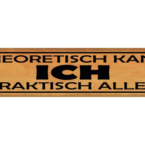 Schild Theoretisch Kann Ich Praktisch Alles Können Arbeit 46 x 10 Blech od. Holz