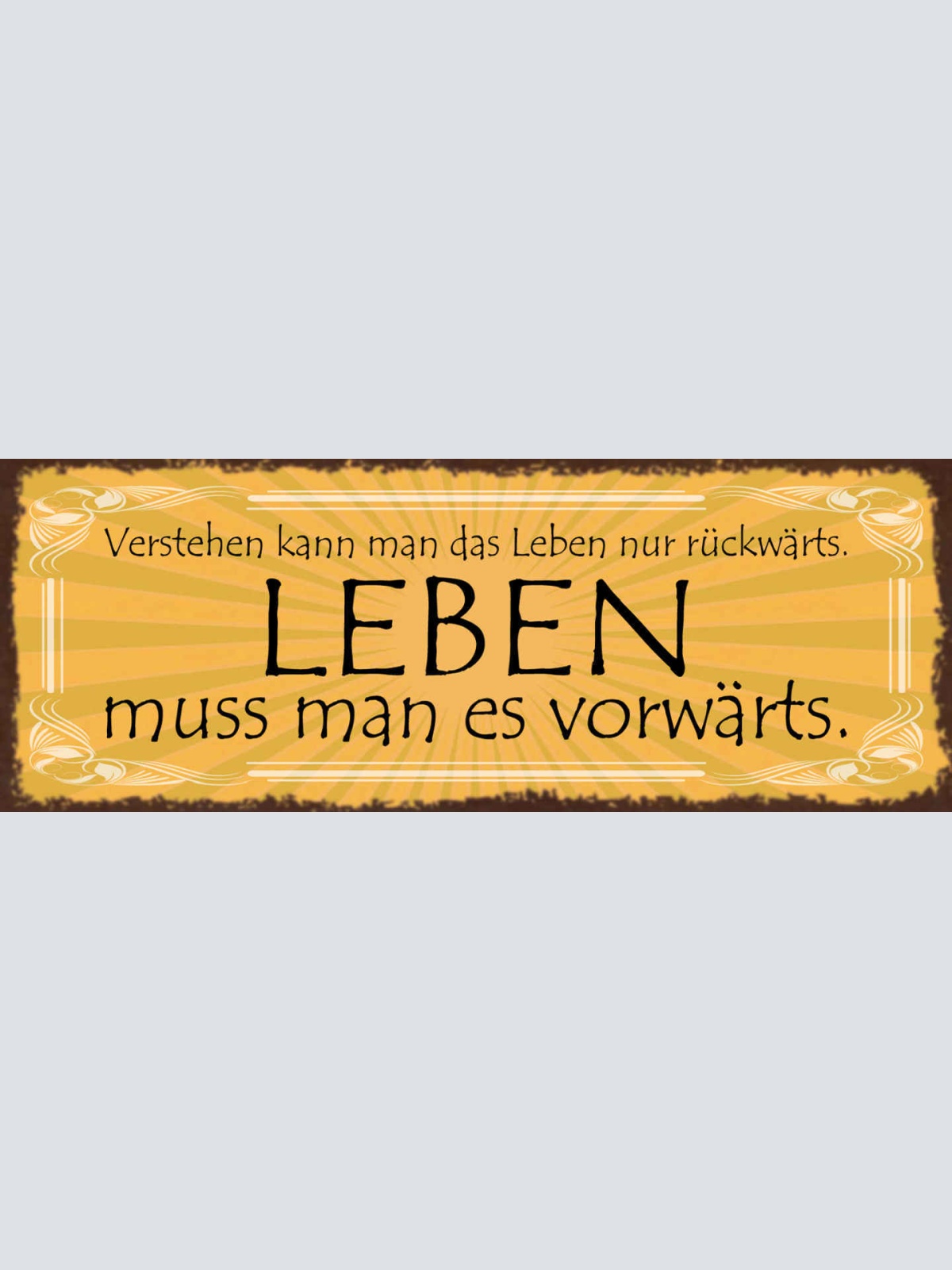 Schild Verstehen Kann Man Das Leben Nur Rückwärts Leben Muss Man Vorwärts 27x10