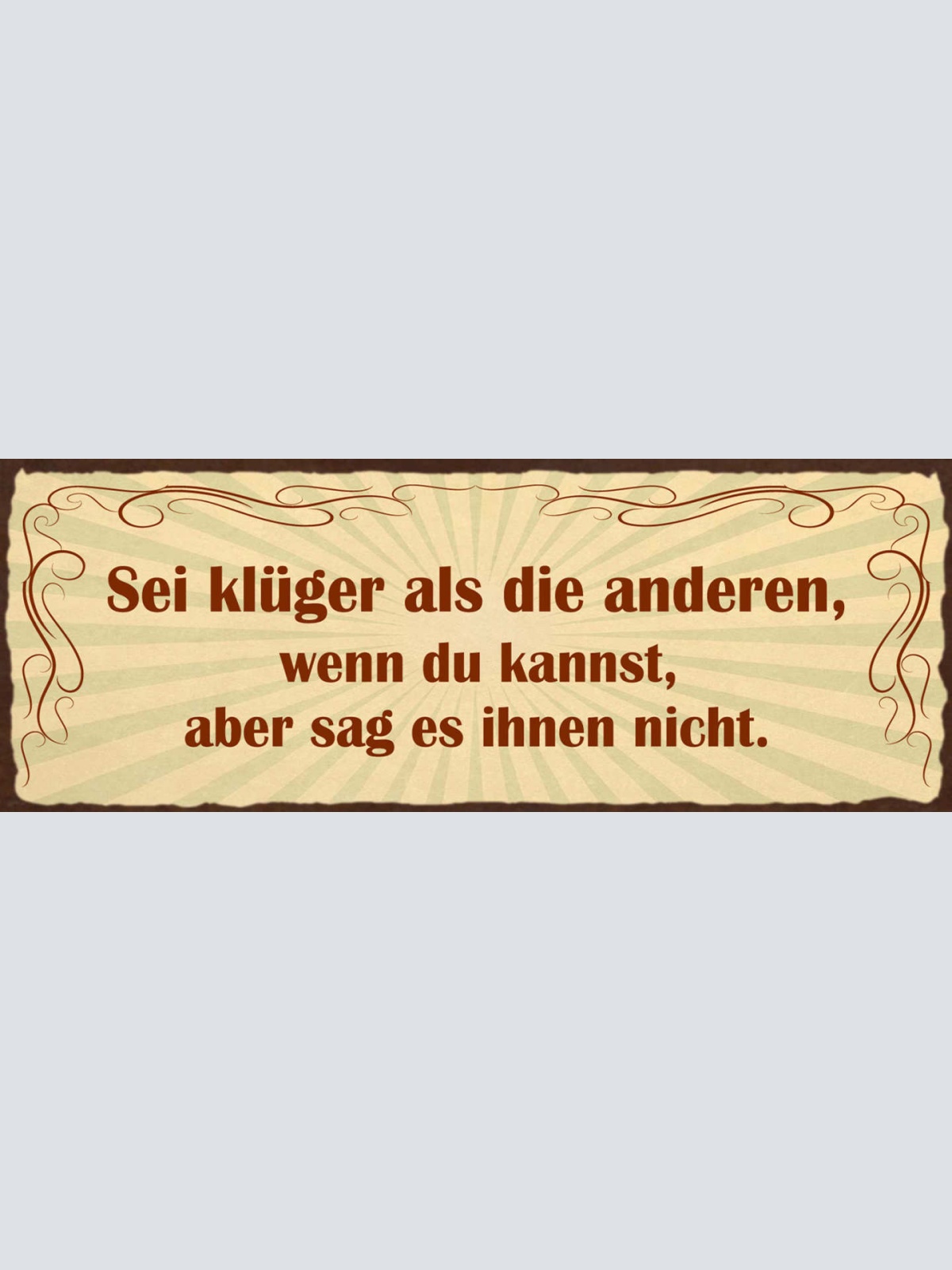 Schild Sei Klüger Als Die Anderen Wenn Du Kannst Aber Sag Es Ihnen Nicht 27x10