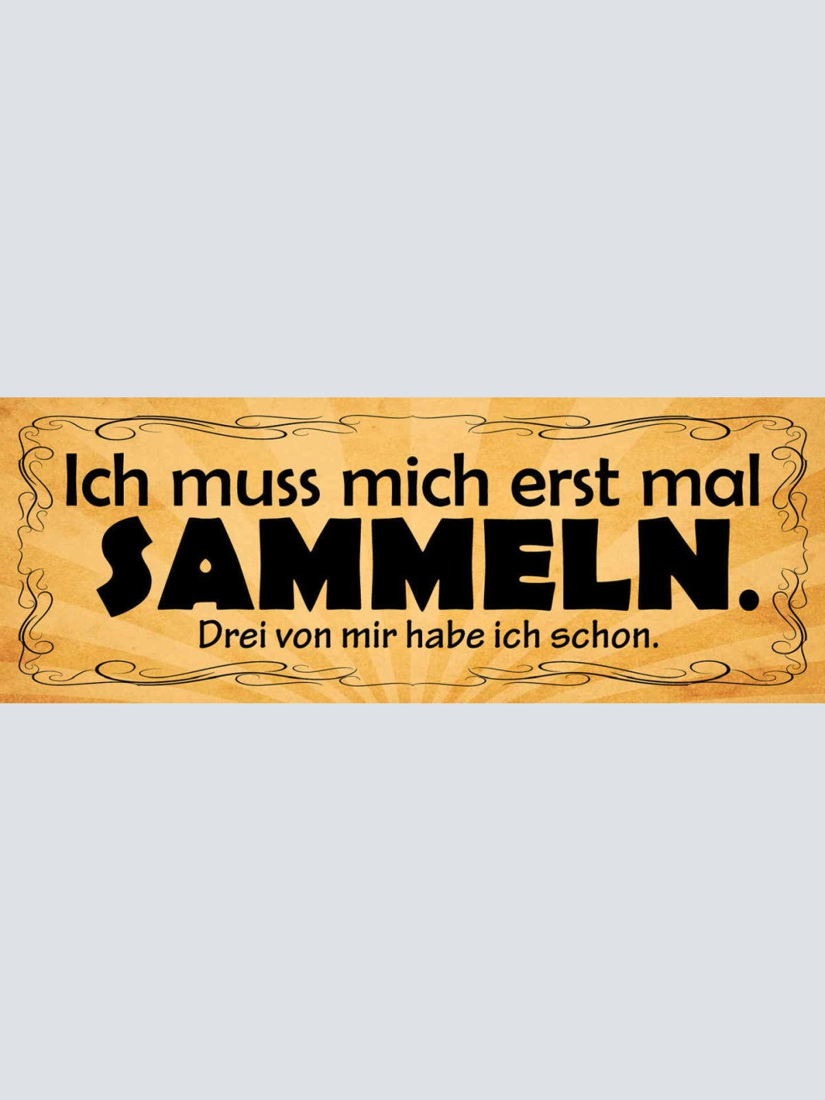Schild Ich Muss Mich Erstmal Sammeln 3 Von Mir Hab Ich Schon 27x10 Blech od.Holz