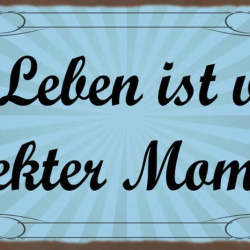 Schild Das Leben Ist Voller Perfekter Momente Erfahrungen 27x10 Blech od.Holz