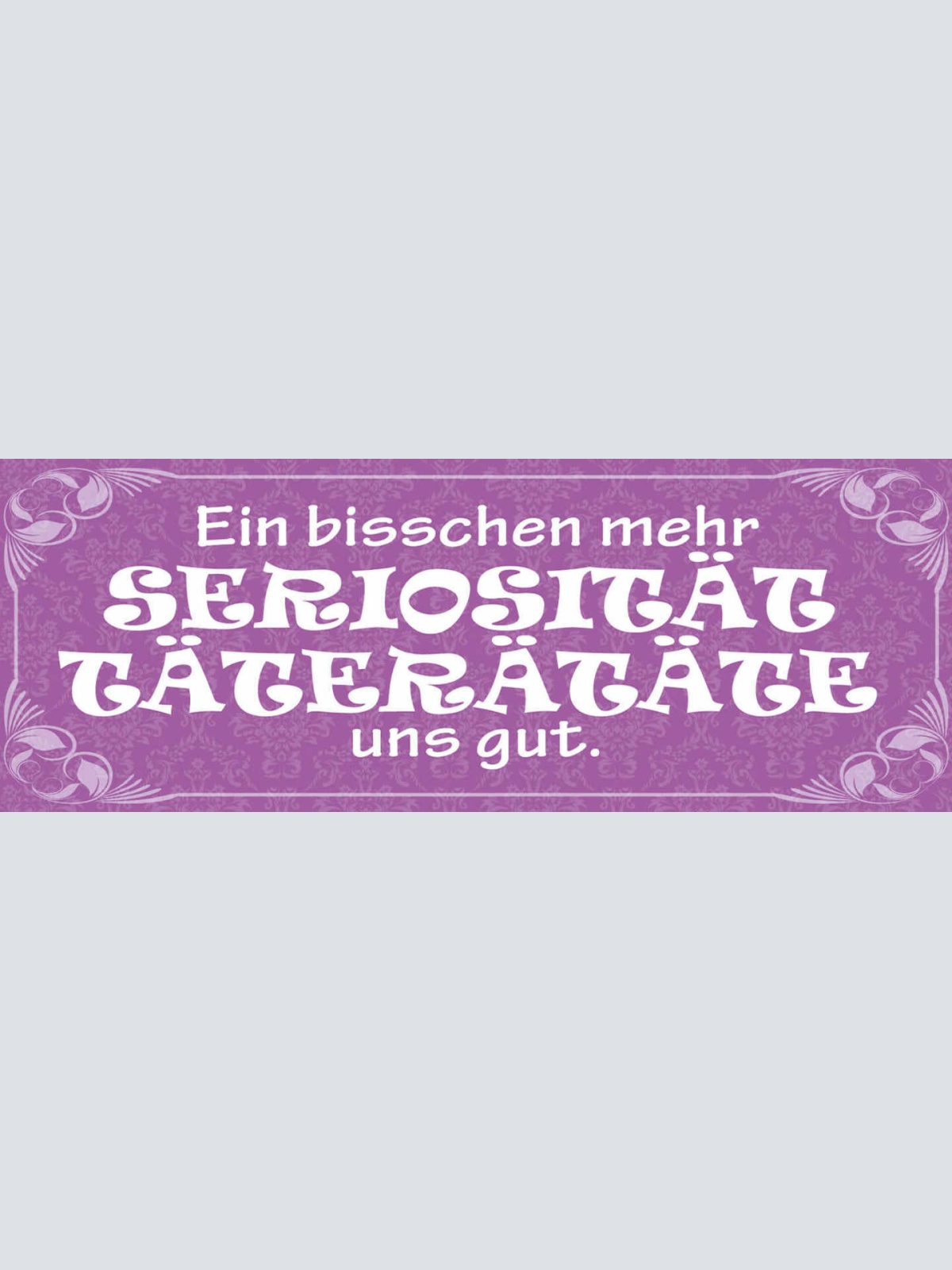 Schild Ein Bisschen Seriösität Täterätäte Uns Gut Ernsthaft 27x10 Blech od.Holz