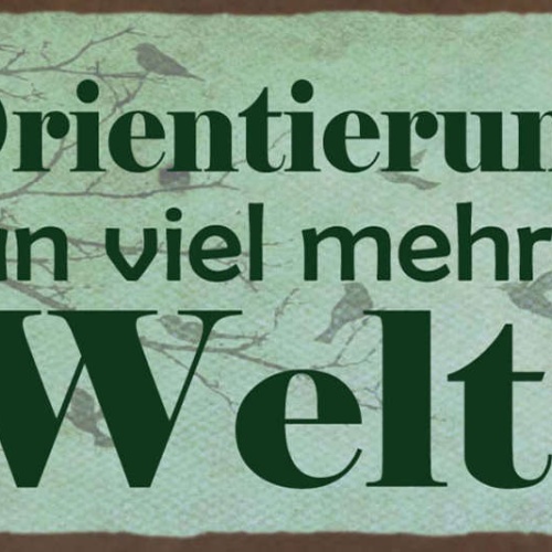 Schild Ohne Orientierungssinn Sieht Man Mehr Von Der Welt 27x10 Blech od.Holz