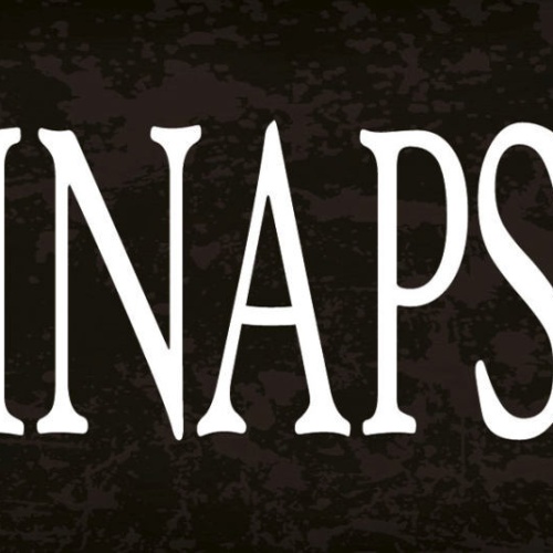 Schild Schnaps Bar Alkohol Lokal Wirt Trinken Spirituose 27x10 Blech od.Holz