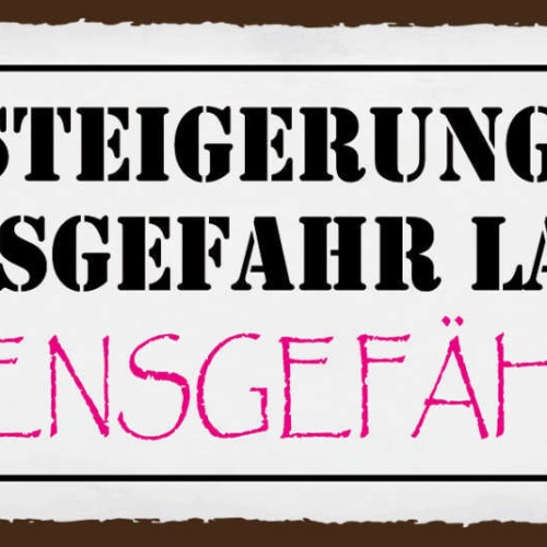 Schild Die Steigerung Von Lebensgefahr Bedeutet Lebensgefährtin Ehe Paar 27x10