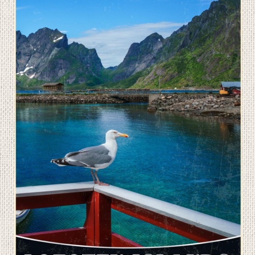Schild Lofoten Islands Norway Norwegen Inseln Vogel 12x18 20x30 30x40 Blech/Holz