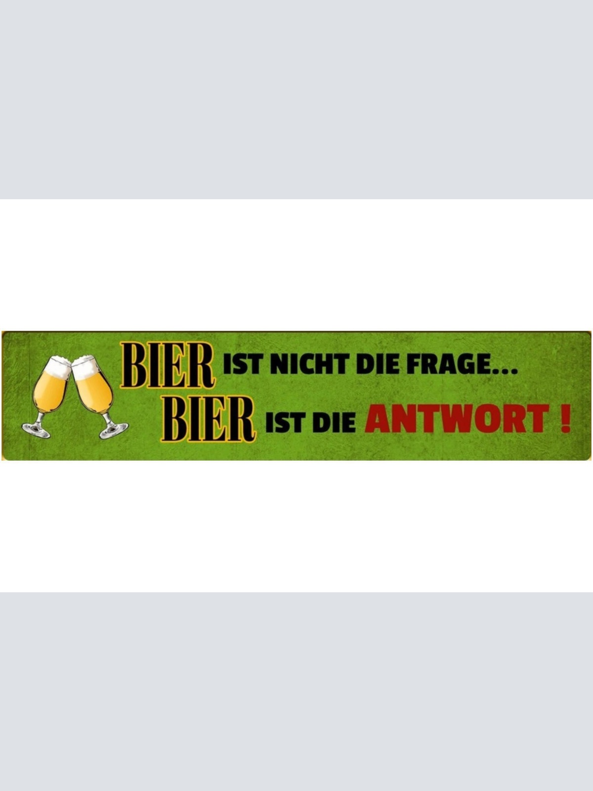 Schild Bier Frage Antwort Alkohol Glas Bar Lokal Wirt 46 x 10 Blech od. Holz