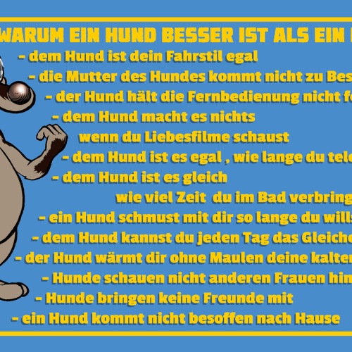 Schild Spruch Warum ein Hund besser ist als ein Mann Hund ist dein Fahrstil  JW