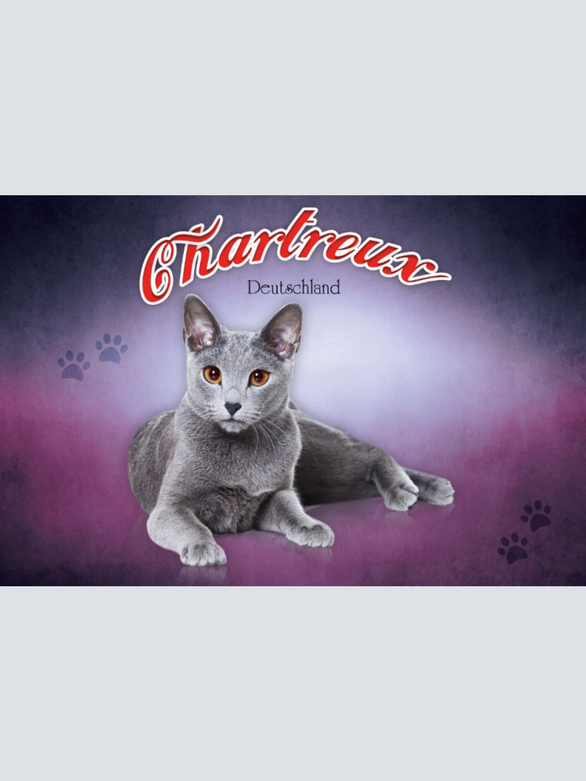 Schild Spruch Chartreux Katze Deutschland JW