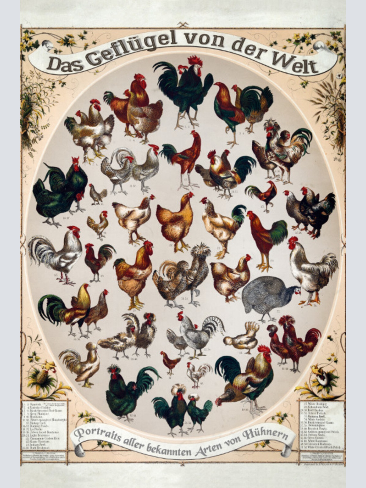 Schild Spruch Das Geflügel von der Welt Portraits aller Arten von Hühnern JW