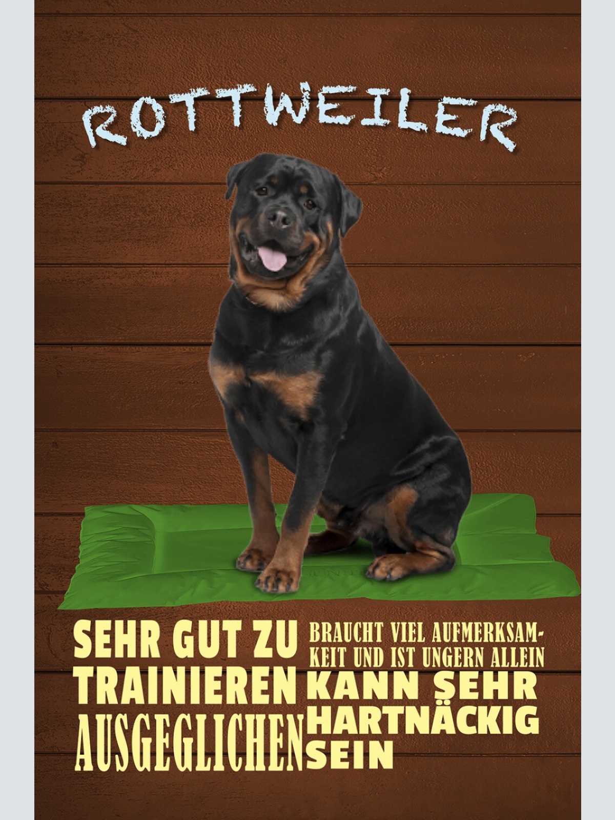 Schild Spruch Rottweiler Steckbrief Ausgeglichen Ungern Allein Hund JW