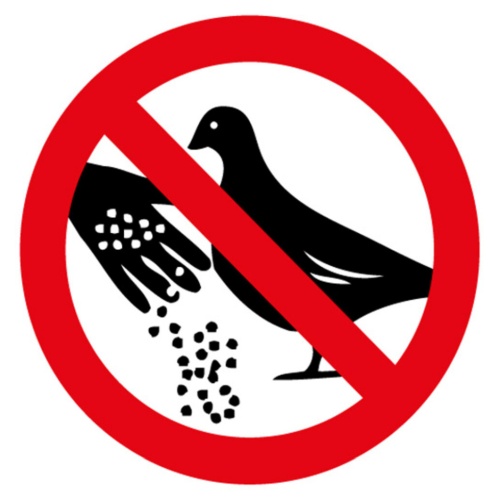 Schild Spruch Tauben füttern verboten Warnung JW