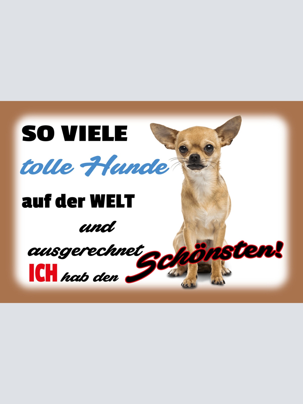 Schild Spruch So viele tolle Hunde auf Welt Ich hab den schönsten Chihuahua  JW