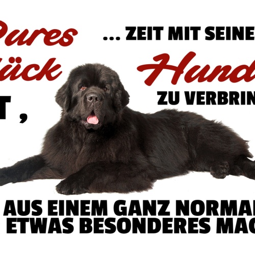 Schild Spruch Pures Glück ist Zeit mit seinem Hund zu verbringen JW