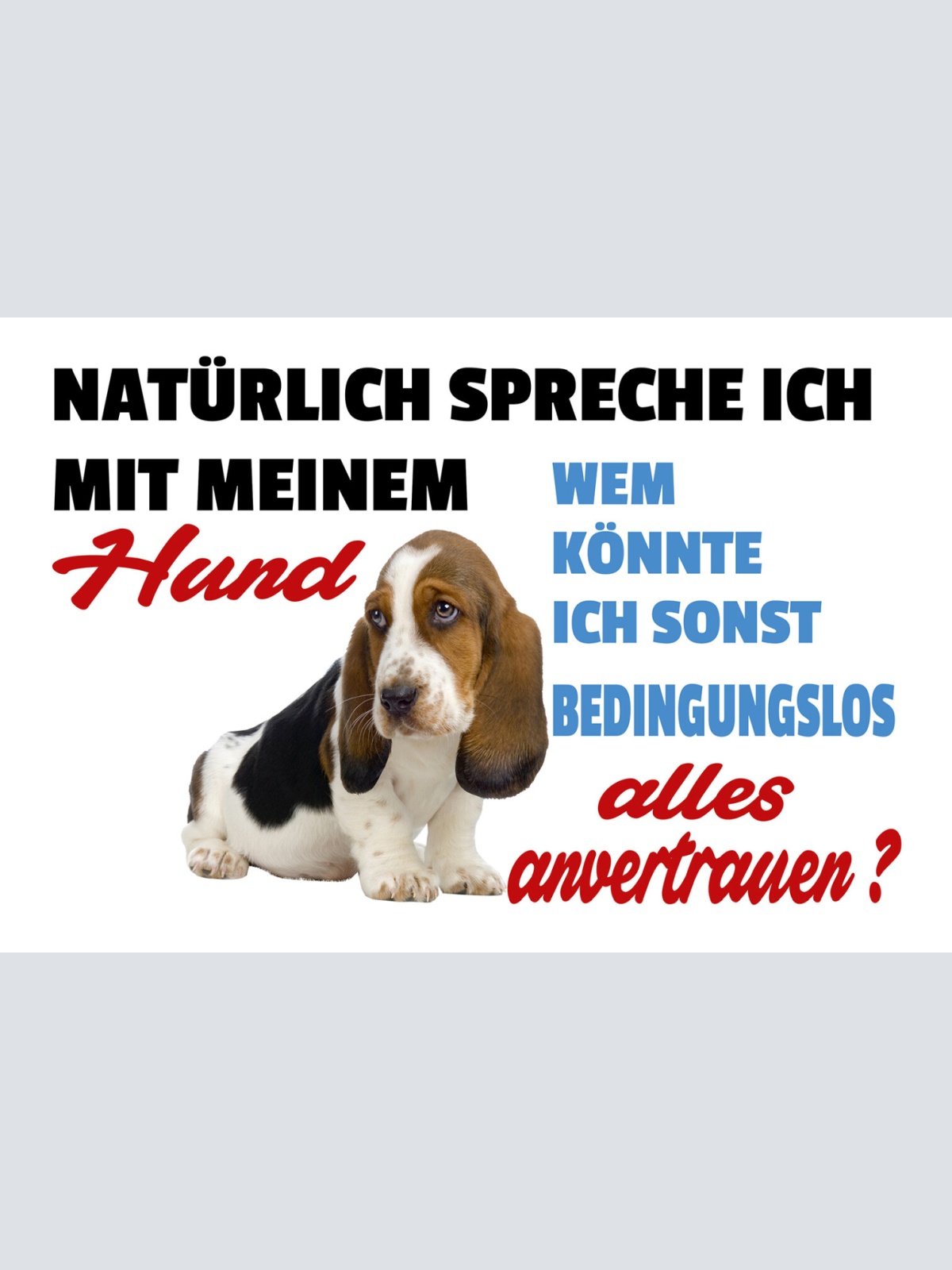 Schild Spruch Natürlich spreche ich mit meinem Hund Wem könnte ich sonst JW