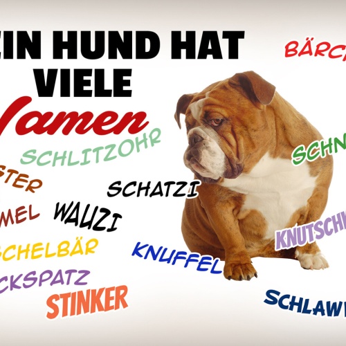 Schild Spruch Mein Hund hat viele Namen Wauzi Krümel Schlawiner Stinker JW